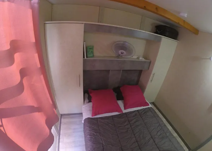 Camping Tikiti